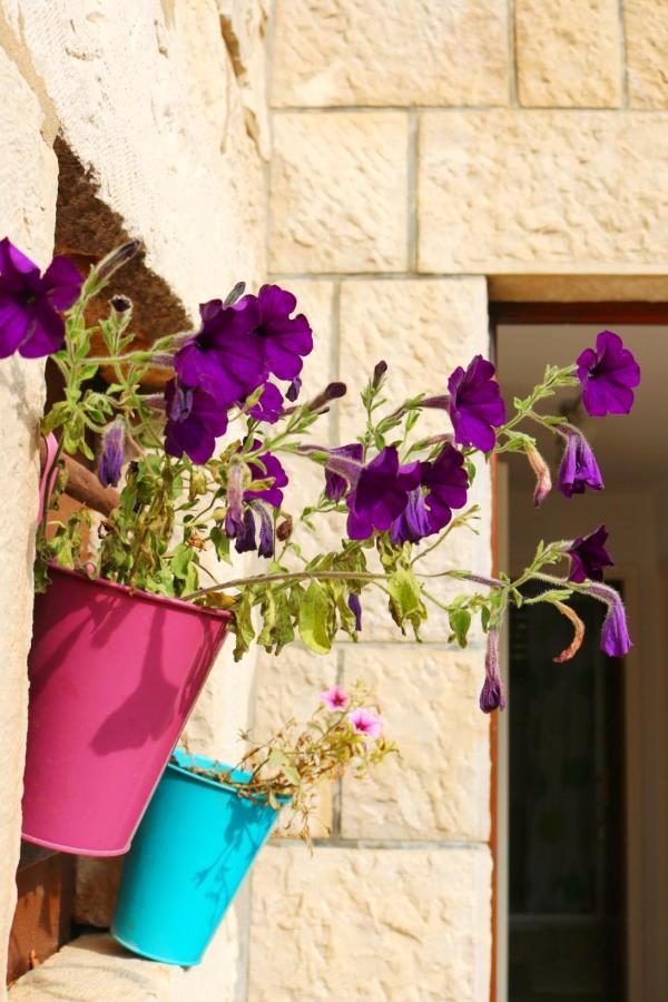 Studio Airport Dubrovnik Čilipi Exteriér fotografie